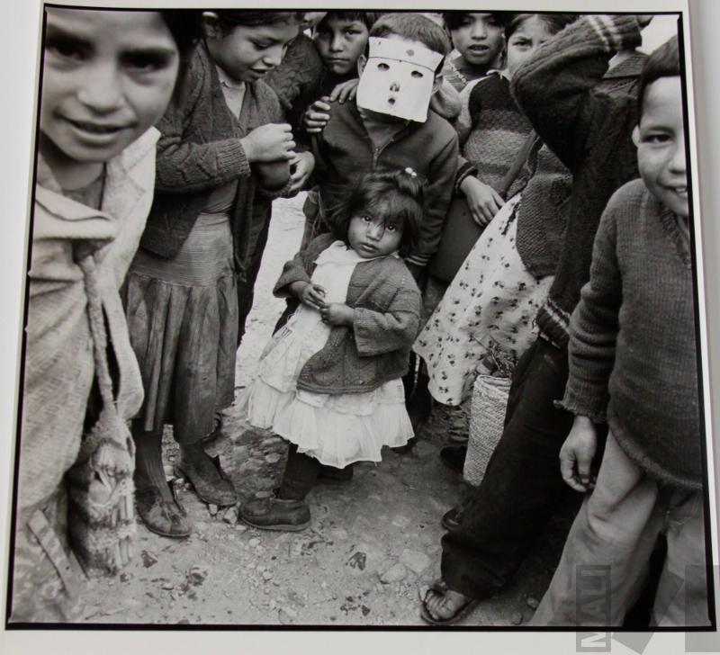 Day of the School Festival
