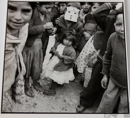 Day of the School Festival
