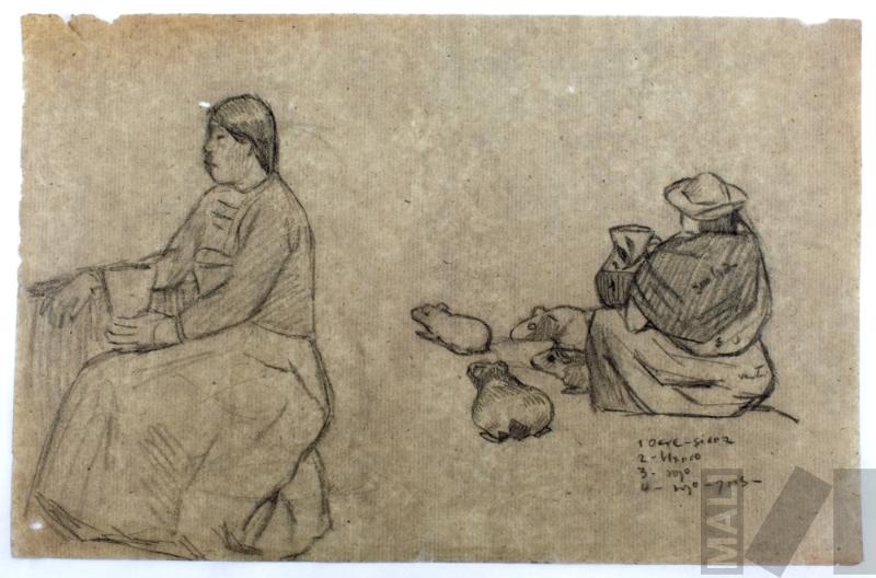 Estudio de mujeres indígenas