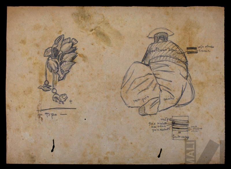 Estudio de traje indígena y tupu