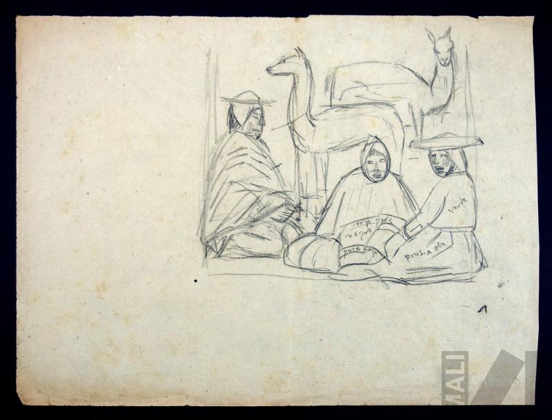 Estudio de grupo indígena con camélidos