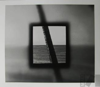 Cuadrado con palmera
