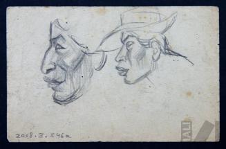 Estudio de perfil indígena