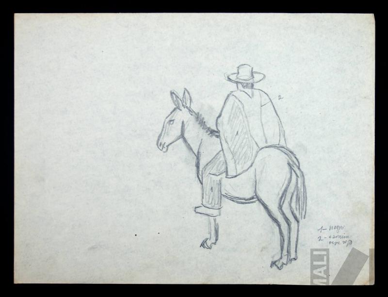 Estudio de jinete