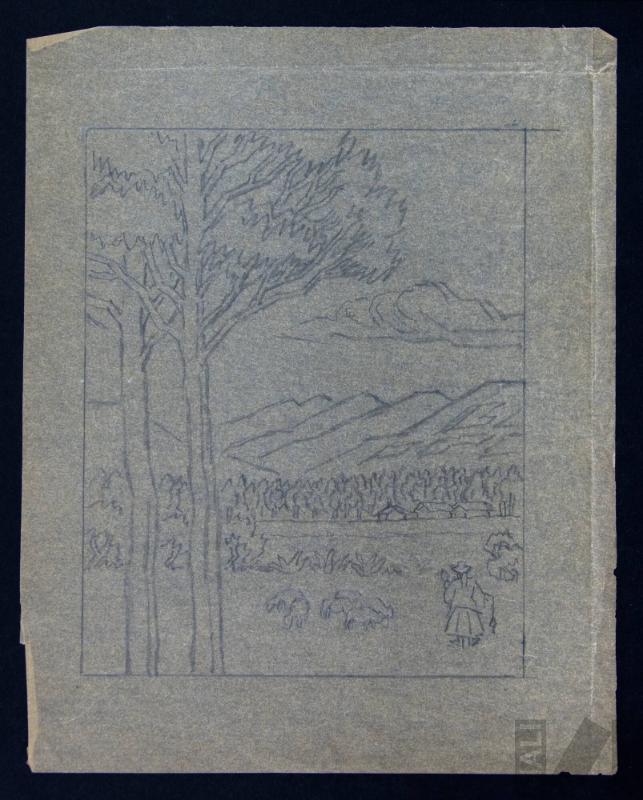 Estudio de campiña cajamarquina