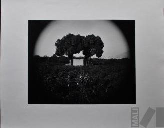 San Rafael, Casma. Serie Paisajes circulares