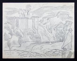 Estudio de poblado andino