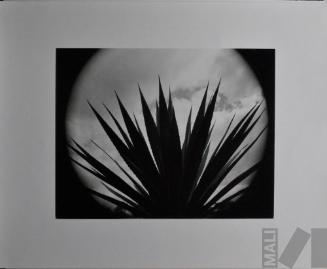 Huancabamba, Piura. Serie Paisajes circulares
