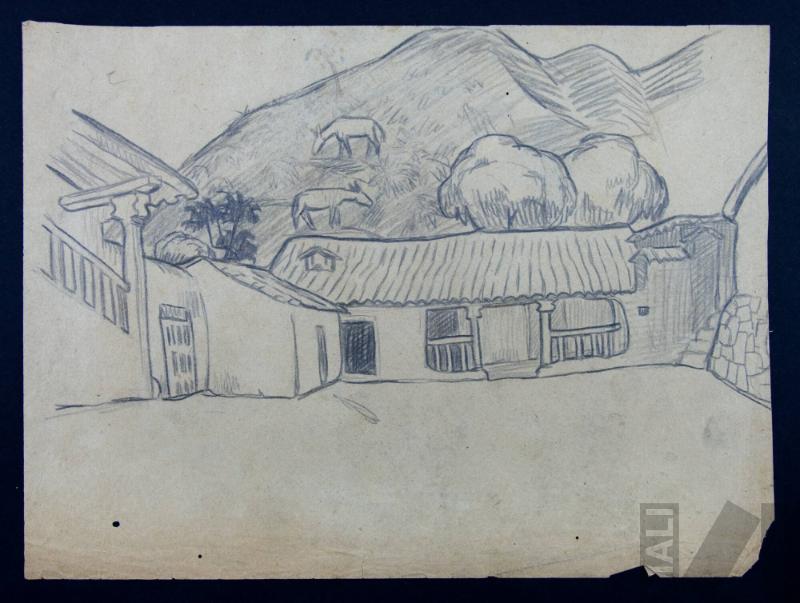 Estudio de hacienda andina