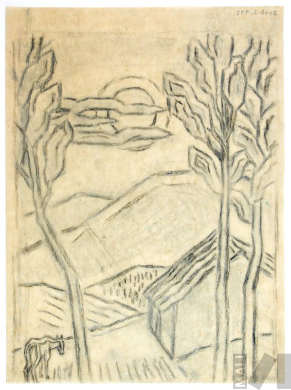 Estudio de paisaje andino