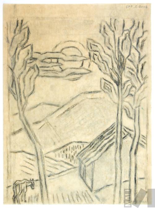 Estudio de paisaje andino