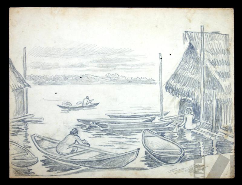 Estudio de paisaje amazónico