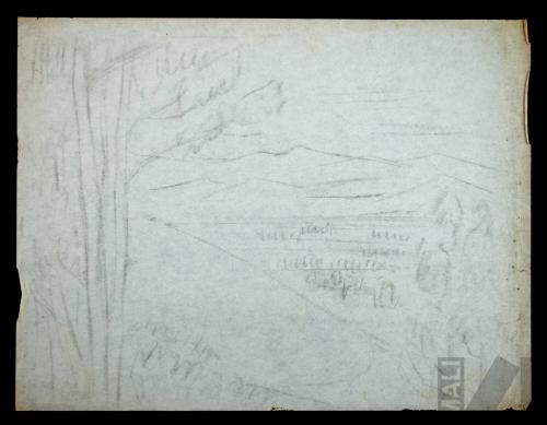 Estudio para 'Cajamarca'