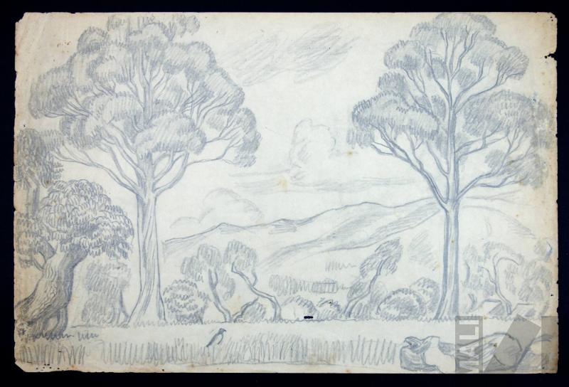 Estudio de paisaje andino