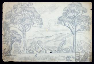 Estudio de paisaje andino