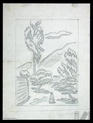 Estudio de paisaje andino