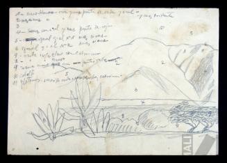 Estudio de paisaje andino