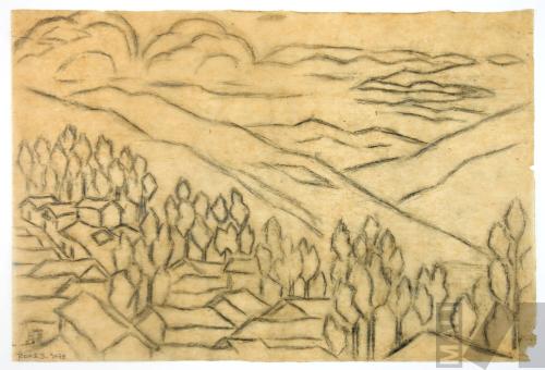 Estudio de paisaje andino