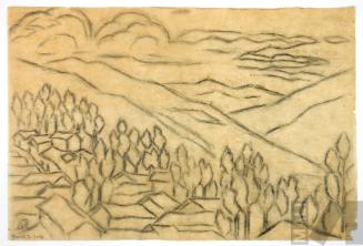 Estudio de paisaje andino