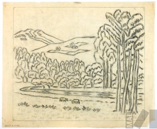 Estudio de campiña cajamarquina