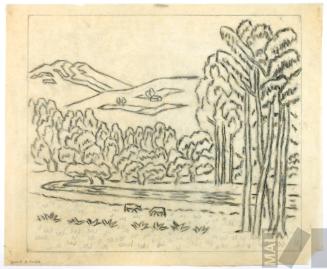 Estudio de campiña cajamarquina