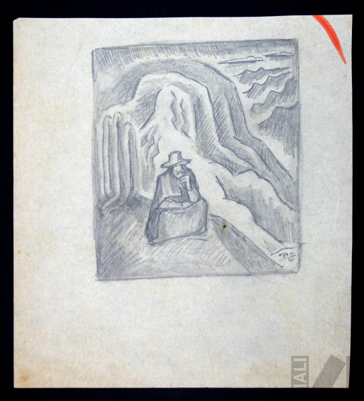 Estudio de mujer delante de paisaje andino