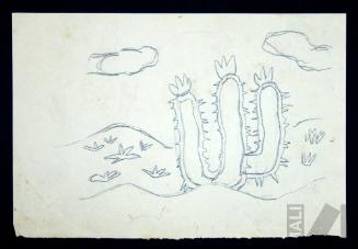 Apunte de vegetación