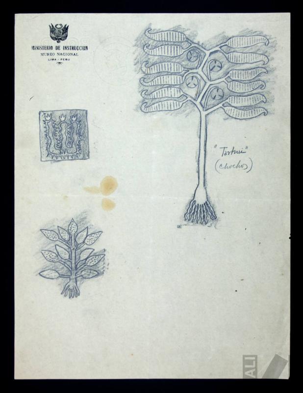 Diseños de vegetación andina