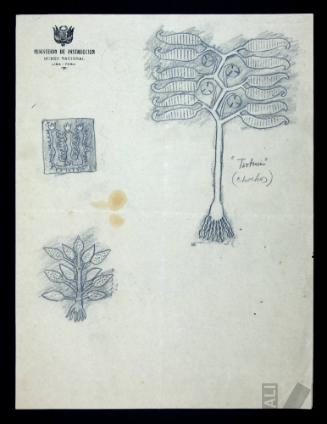 Diseños de vegetación andina