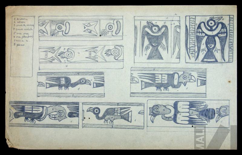 Estudio de aves Nasca