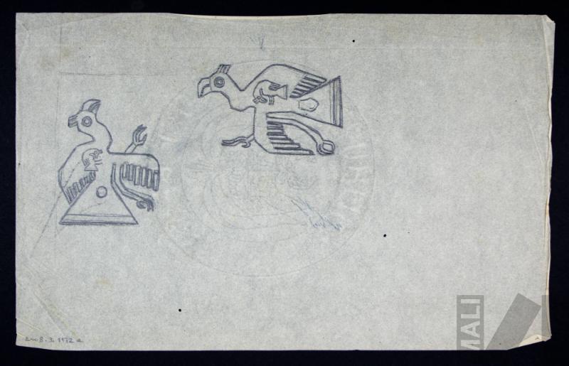 Estudio de aves Nasca