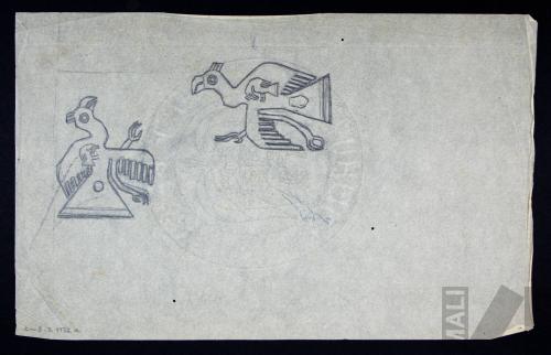 Estudio de aves Nasca