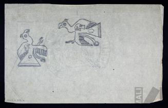 Estudio de aves Nasca