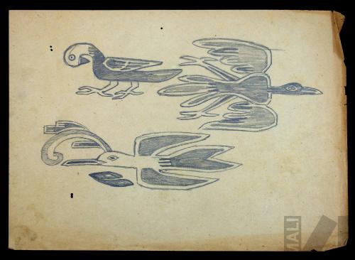 Estudio de aves de un tapiz colonial