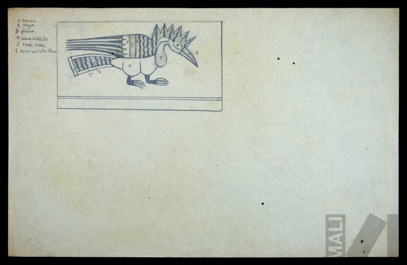 Estudio de ave Nasca