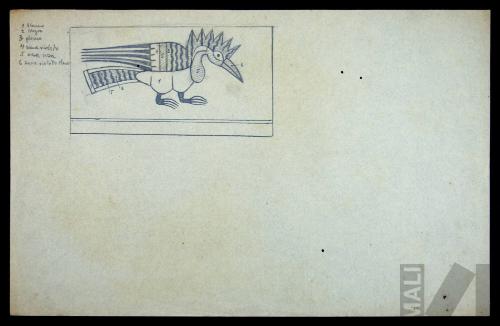 Estudio de ave Nasca